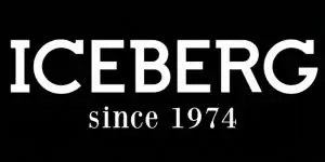 Iceberg
